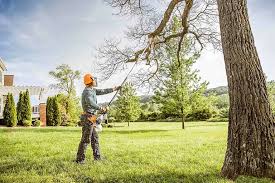 Best Hazardous Tree Removal  in USA